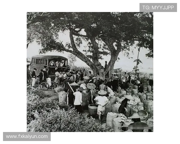 1916娱乐：一段不可磨灭的历史记忆